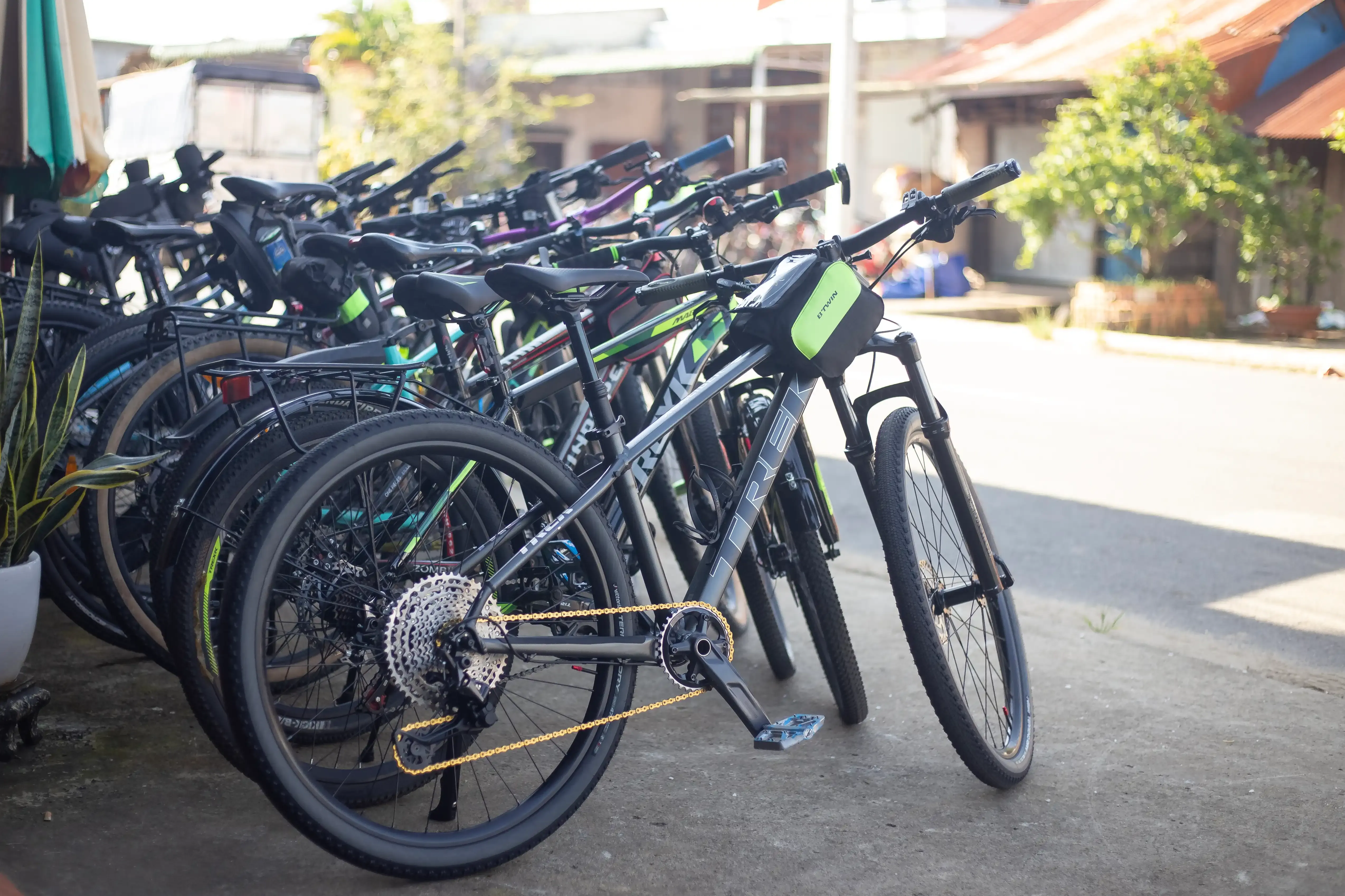 Bike Rental