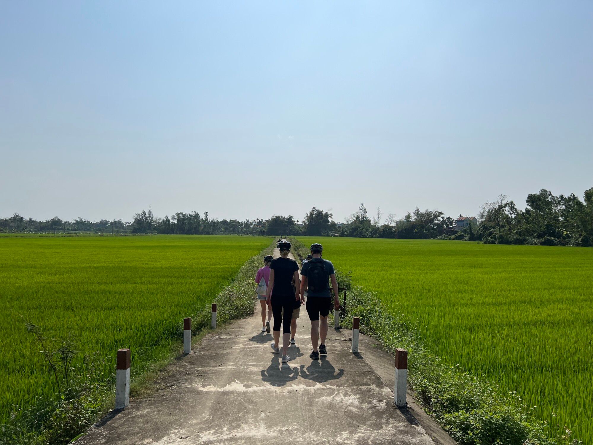 EVENING HOI AN FOOD TOUR - Image 14
